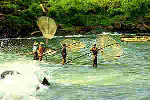 Sri Lanka Picture Archive 32